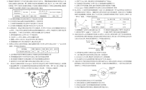 陕西省、山西省天一大联考2024-2025学年高中毕业班阶段性测试（六）生物_2025年3月_250321陕西省、山西省天一大联考2024-2025学年高中毕业班阶段性测试（六）（全科）