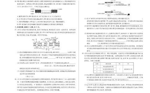 陕西省、山西省天一大联考2024-2025学年高中毕业班阶段性测试（六）生物_2025年3月_250321陕西省、山西省天一大联考2024-2025学年高中毕业班阶段性测试（六）（全科）