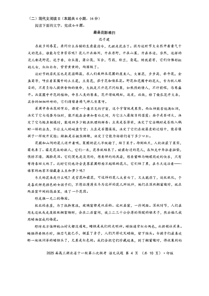 湖北十一校第二次联考语文试卷_2025年3月_250326湖北省十一校2025届高三第二次联考（全科）_语文