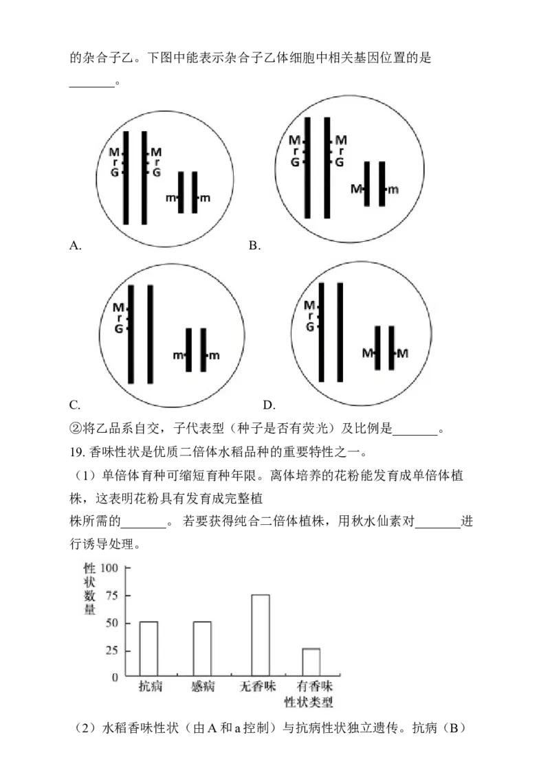 湖南省岳阳市岳阳县第一中学2024-2025学年高三上学期12月月考生物试题Word版无答案_2025年1月_250103湖南省岳阳市岳阳县第一中学2024-2025学年高三上学期12月月考