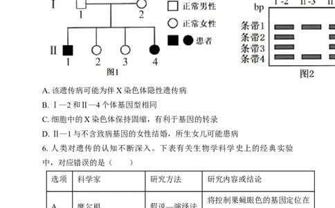 湖南省岳阳市岳阳县第一中学2024-2025学年高三上学期12月月考生物试题Word版无答案_2025年1月_250103湖南省岳阳市岳阳县第一中学2024-2025学年高三上学期12月月考