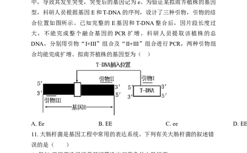 湖南省岳阳市岳阳县第一中学2024-2025学年高三上学期12月月考生物试题Word版无答案_2025年1月_250103湖南省岳阳市岳阳县第一中学2024-2025学年高三上学期12月月考