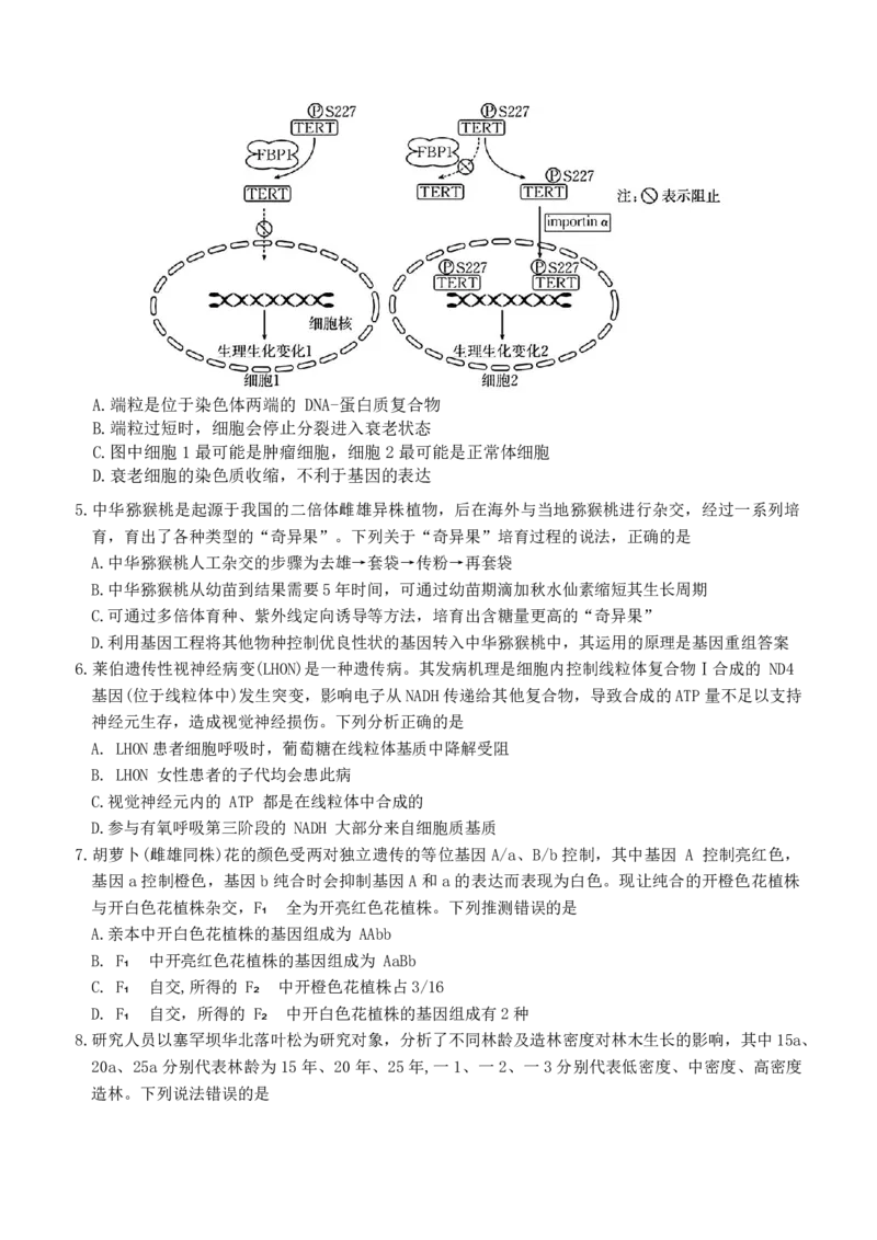 河北省衡水市冀州中学2025-2026学年高三上学期开学摸底考试生物（含答案）_2025年8月_250821河北省衡水市冀州中学2025-2026学年高三上学期开学摸底考试（全科）