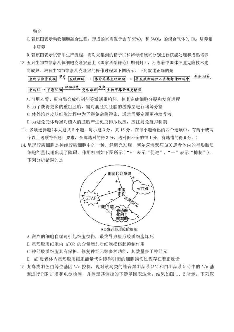 河北省衡水市冀州中学2025-2026学年高三上学期开学摸底考试生物（含答案）_2025年8月_250821河北省衡水市冀州中学2025-2026学年高三上学期开学摸底考试（全科）