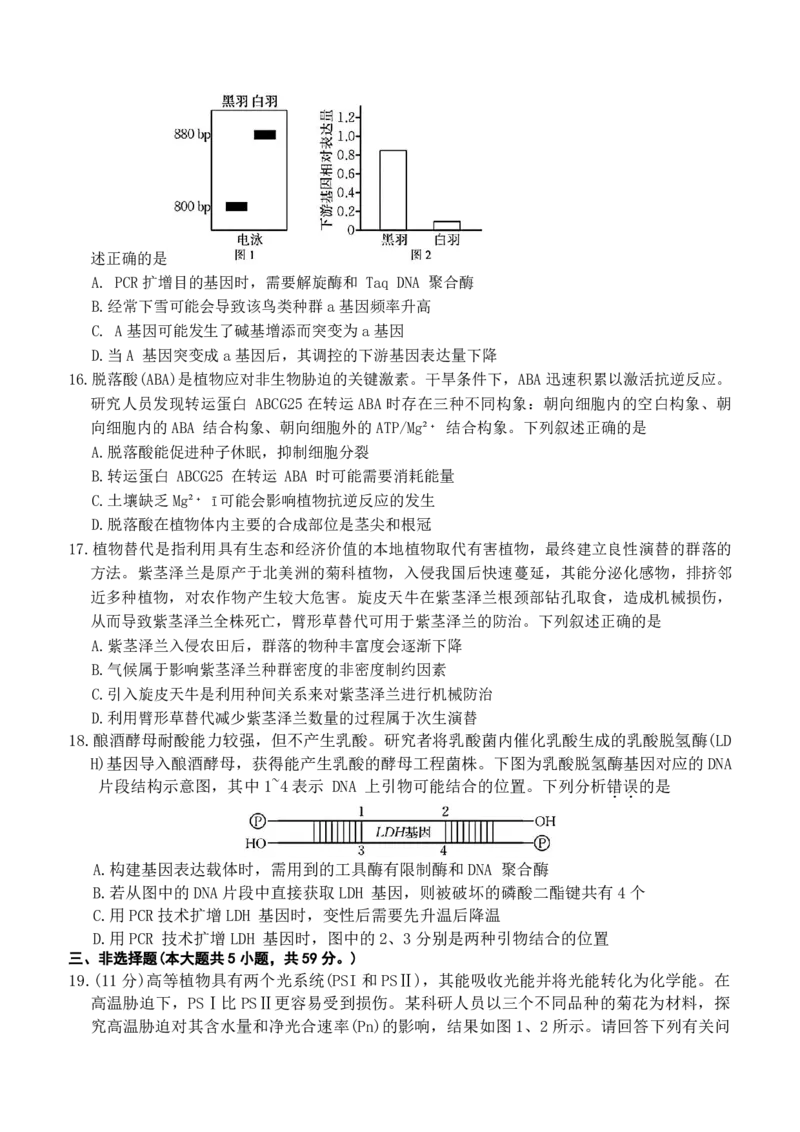 河北省衡水市冀州中学2025-2026学年高三上学期开学摸底考试生物（含答案）_2025年8月_250821河北省衡水市冀州中学2025-2026学年高三上学期开学摸底考试（全科）