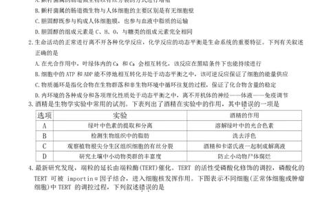 河北省衡水市冀州中学2025-2026学年高三上学期开学摸底考试生物（含答案）_2025年8月_250821河北省衡水市冀州中学2025-2026学年高三上学期开学摸底考试（全科）