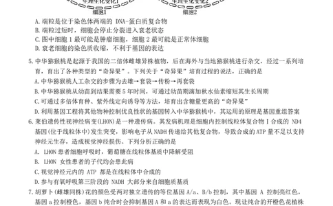 河北省衡水市冀州中学2025-2026学年高三上学期开学摸底考试生物（含答案）_2025年8月_250821河北省衡水市冀州中学2025-2026学年高三上学期开学摸底考试（全科）