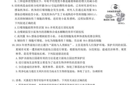 河北省衡水市冀州中学2025-2026学年高三上学期开学摸底考试生物（含答案）_2025年8月_250821河北省衡水市冀州中学2025-2026学年高三上学期开学摸底考试（全科）