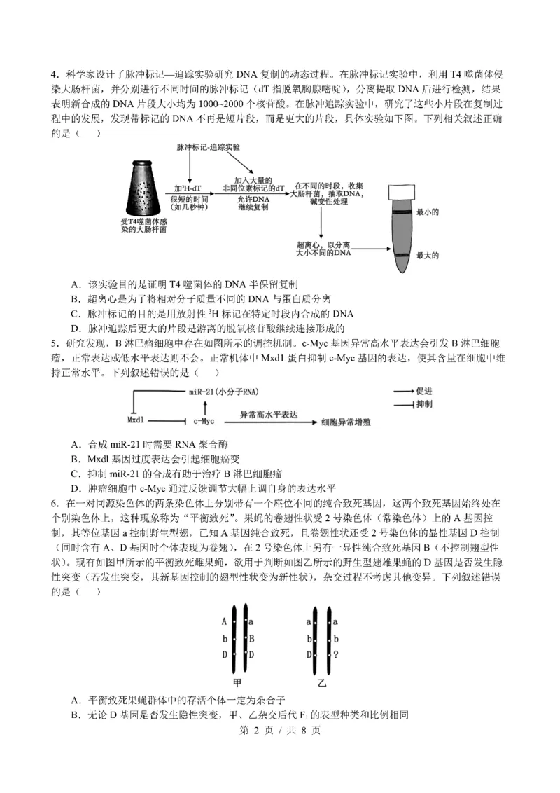 四川省成都市第七中学2024~2025学年度下期高2025届三诊模拟考试生物_2025年4月_250416四川省成都市第七中学2024~2025学年度下期高2025届三诊模拟考试（全科）