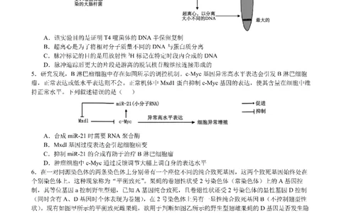四川省成都市第七中学2024~2025学年度下期高2025届三诊模拟考试生物_2025年4月_250416四川省成都市第七中学2024~2025学年度下期高2025届三诊模拟考试（全科）