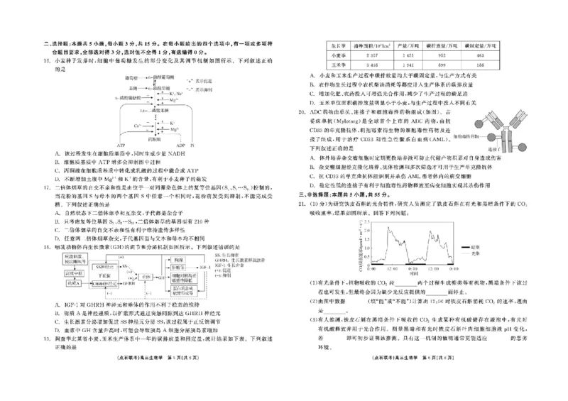 辽宁省点石联考2025届高三上学期1月期末考试生物试题_2025年1月_250112辽宁省点石联考2025届高三上学期1月期末考试