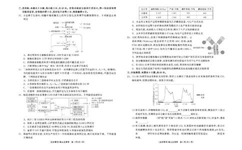 辽宁省点石联考2025届高三上学期1月期末考试生物试题_2025年1月_250112辽宁省点石联考2025届高三上学期1月期末考试