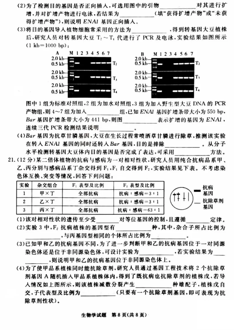 吕梁市2025年高三年级第二次模拟考试生物_2025年4月_250420山西省吕梁市2025年高三年级第二次模拟考试（全科）_吕梁市2025年高三年级第二次模拟考试生物