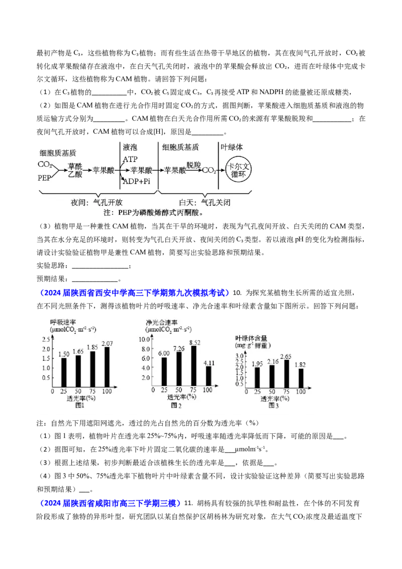 专题05光合作用与细胞呼吸-2024年高考真题和模拟题生物分类汇编(学生卷）_近10年高考真题汇编（必刷）_十年（2014-2024）高考生物真题分项汇编（全国通用）