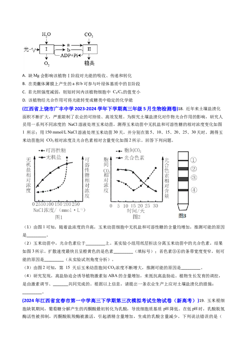 专题05光合作用与细胞呼吸-2024年高考真题和模拟题生物分类汇编(学生卷）_近10年高考真题汇编（必刷）_十年（2014-2024）高考生物真题分项汇编（全国通用）