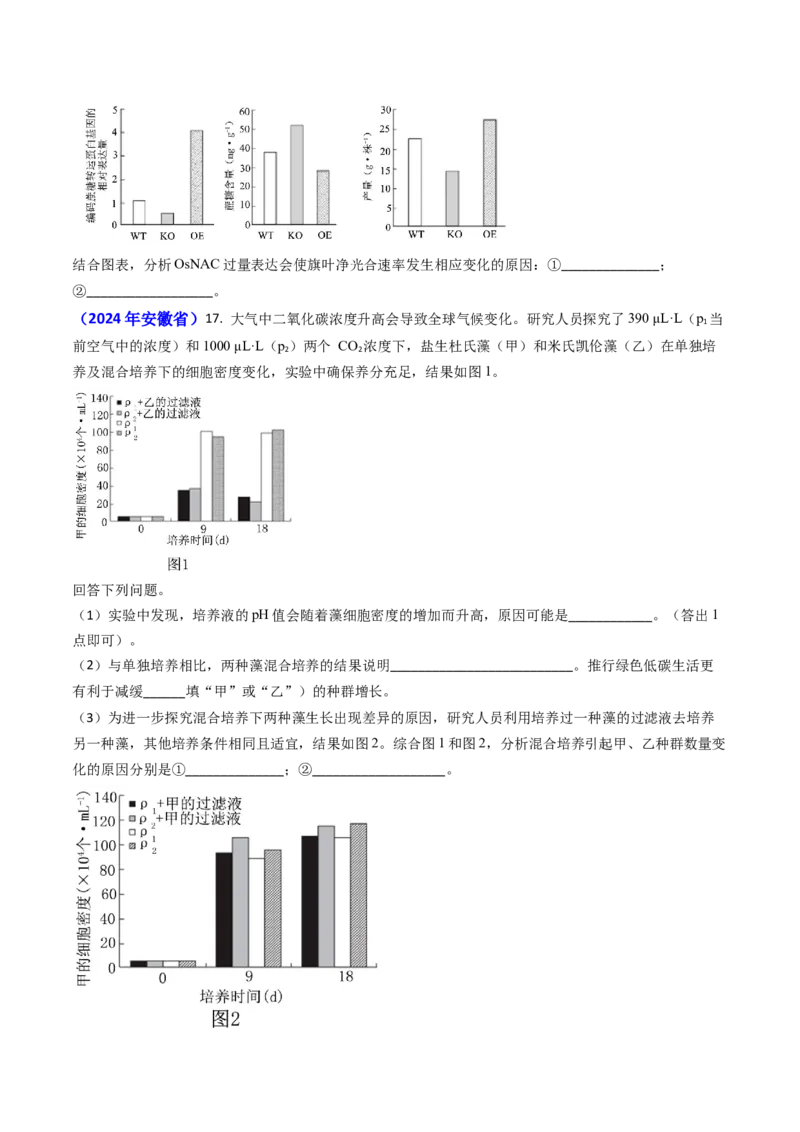 专题05光合作用与细胞呼吸-2024年高考真题和模拟题生物分类汇编(学生卷）_近10年高考真题汇编（必刷）_十年（2014-2024）高考生物真题分项汇编（全国通用）