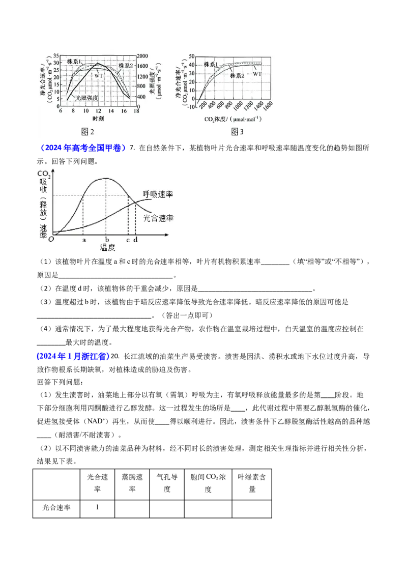 专题05光合作用与细胞呼吸-2024年高考真题和模拟题生物分类汇编(学生卷）_近10年高考真题汇编（必刷）_十年（2014-2024）高考生物真题分项汇编（全国通用）