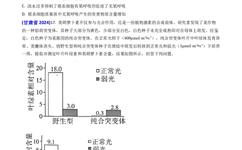 专题05光合作用与细胞呼吸-2024年高考真题和模拟题生物分类汇编(学生卷）_近10年高考真题汇编（必刷）_十年（2014-2024）高考生物真题分项汇编（全国通用）