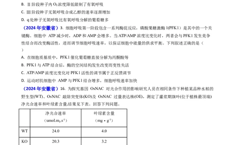 专题05光合作用与细胞呼吸-2024年高考真题和模拟题生物分类汇编(学生卷）_近10年高考真题汇编（必刷）_十年（2014-2024）高考生物真题分项汇编（全国通用）
