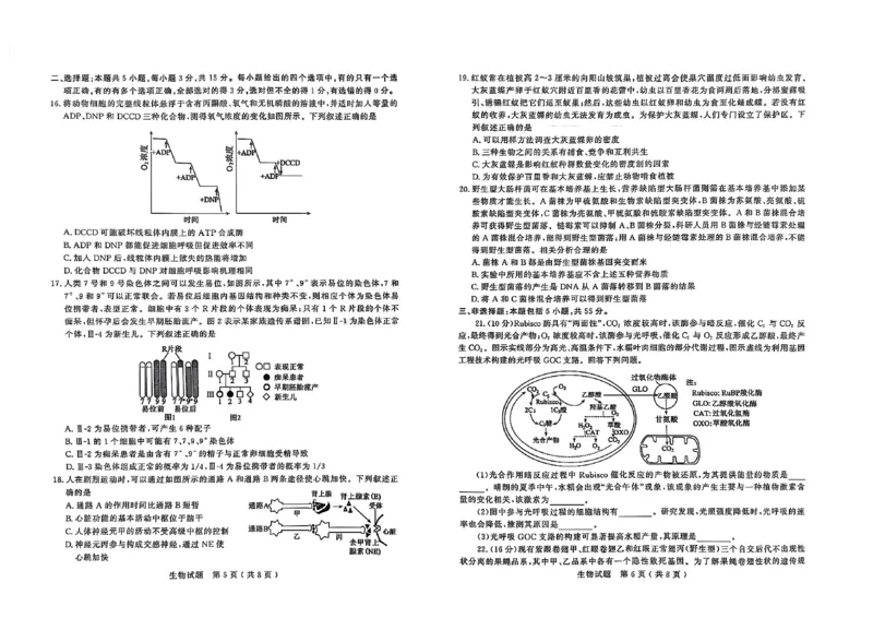 生物试题_2025年3月_250306山东省济宁市2025年高考模拟考试（一模）（全科）_山东省济宁市2025年高考模拟考试（一模）生物