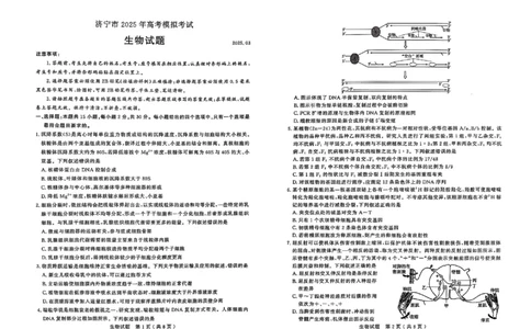 生物试题_2025年3月_250306山东省济宁市2025年高考模拟考试（一模）（全科）_山东省济宁市2025年高考模拟考试（一模）生物