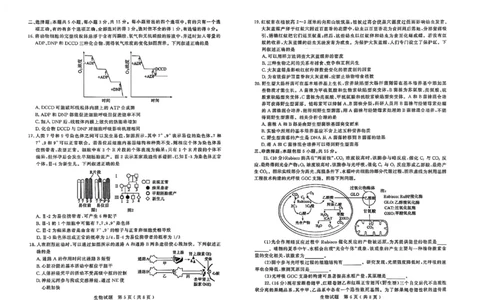 生物试题_2025年3月_250306山东省济宁市2025年高考模拟考试（一模）（全科）_山东省济宁市2025年高考模拟考试（一模）生物