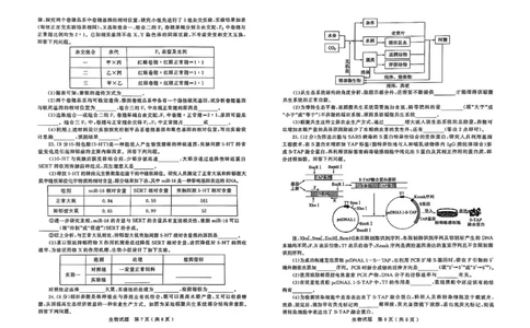 生物试题_2025年3月_250306山东省济宁市2025年高考模拟考试（一模）（全科）_山东省济宁市2025年高考模拟考试（一模）生物