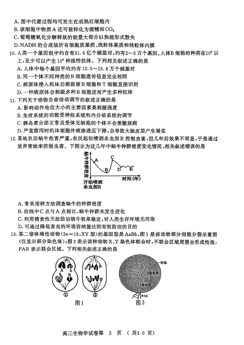 生物试卷南京-盐城2025高三期末调研考试卷_2025年1月_250107江苏省南京市、盐城市2025届高三上学期第一次模拟考试（全科）