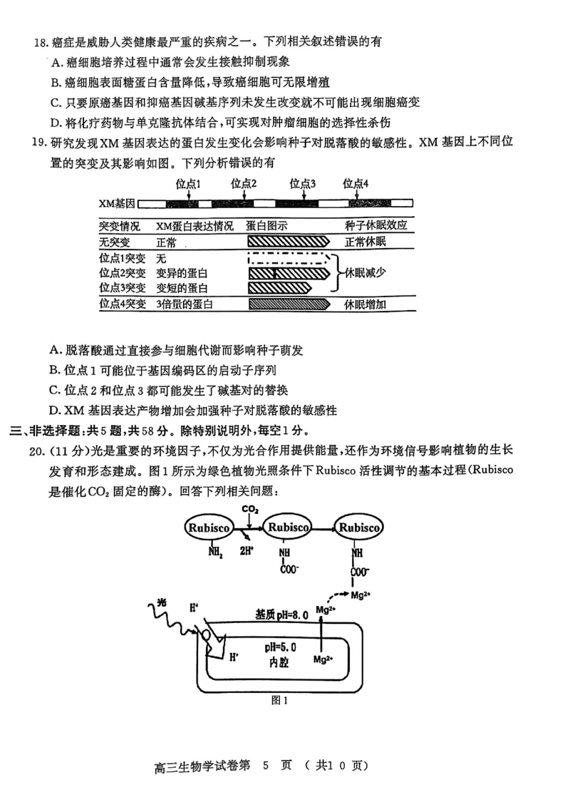 生物试卷南京-盐城2025高三期末调研考试卷_2025年1月_250107江苏省南京市、盐城市2025届高三上学期第一次模拟考试（全科）