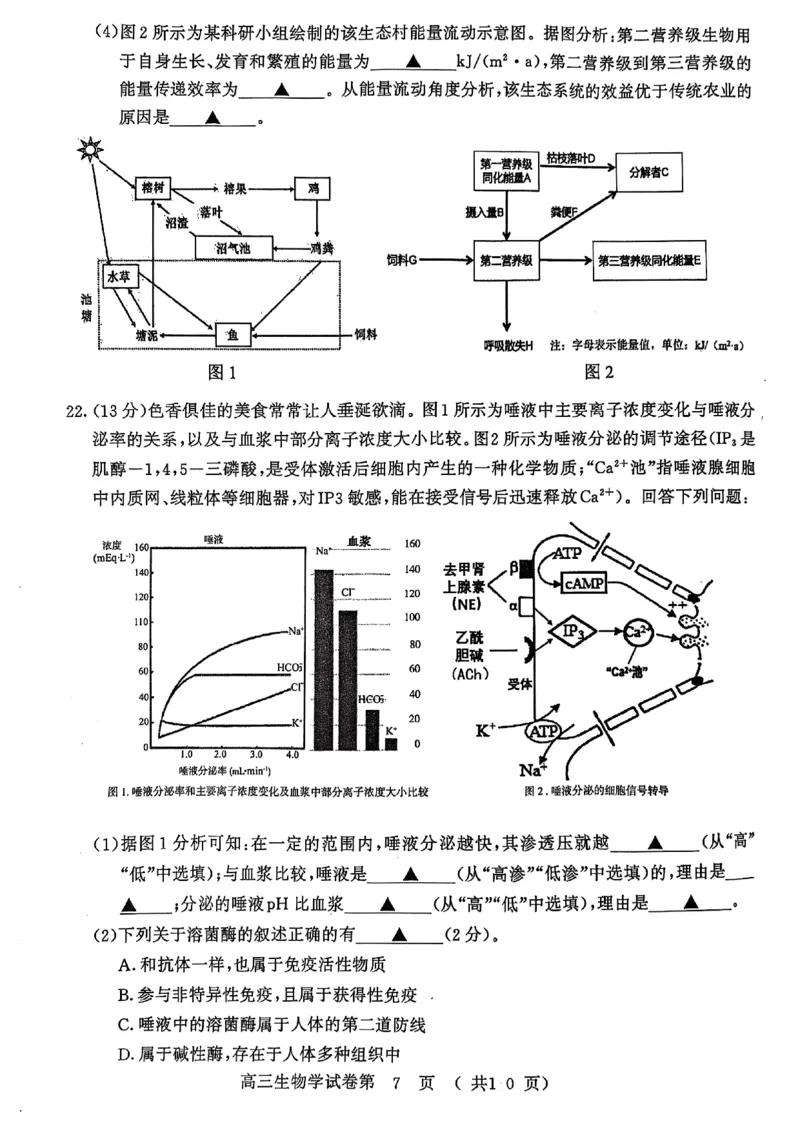 生物试卷南京-盐城2025高三期末调研考试卷_2025年1月_250107江苏省南京市、盐城市2025届高三上学期第一次模拟考试（全科）