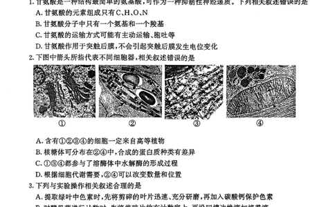 生物试卷南京-盐城2025高三期末调研考试卷_2025年1月_250107江苏省南京市、盐城市2025届高三上学期第一次模拟考试（全科）