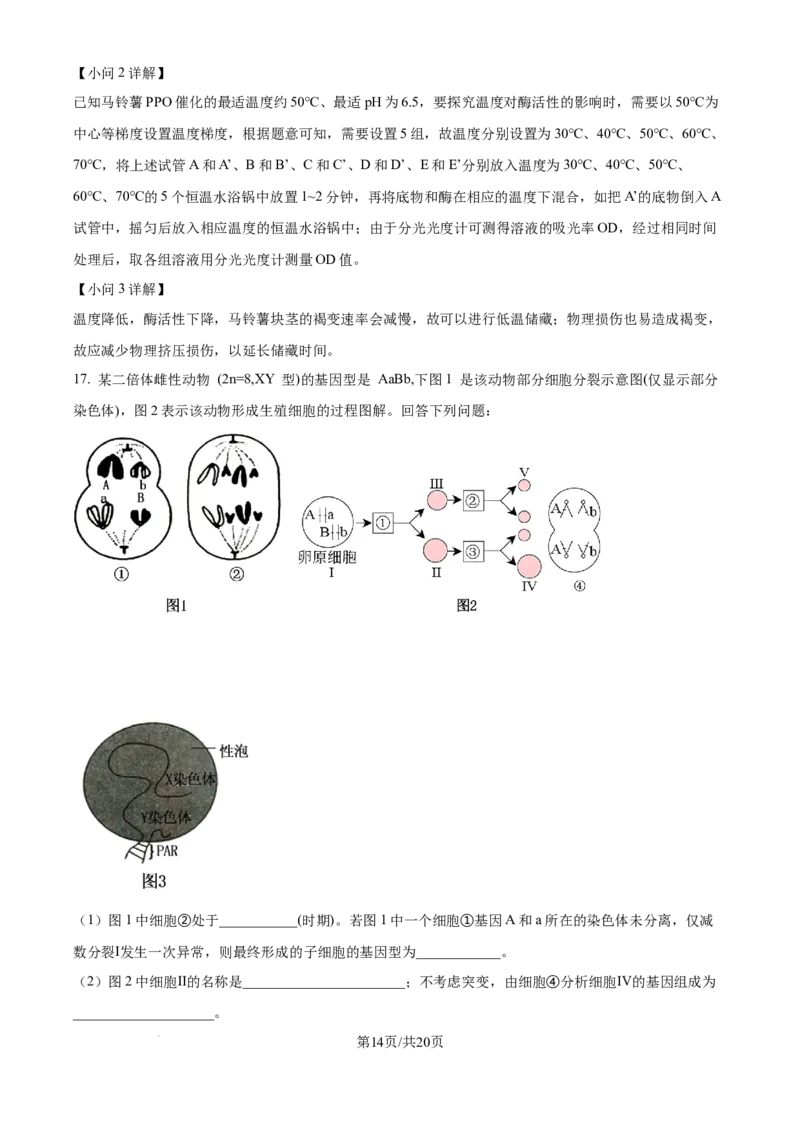 精品解析：重庆市八中2025-2026学年高三上学期入学考试生物试卷（解析版）_2025年9月_250902重庆市第八中学校2025-2026学年高三上学期入学考试（全科）