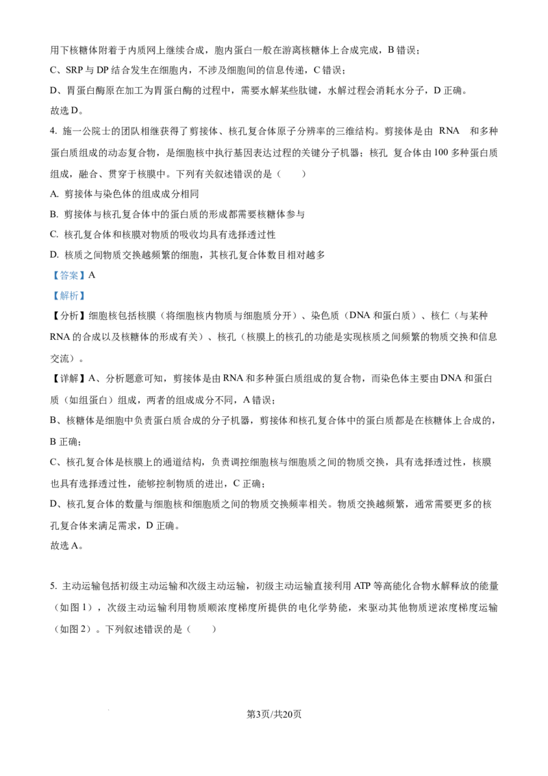 精品解析：重庆市八中2025-2026学年高三上学期入学考试生物试卷（解析版）_2025年9月_250902重庆市第八中学校2025-2026学年高三上学期入学考试（全科）