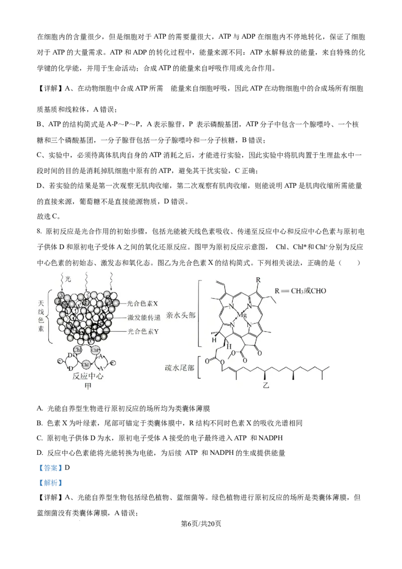 精品解析：重庆市八中2025-2026学年高三上学期入学考试生物试卷（解析版）_2025年9月_250902重庆市第八中学校2025-2026学年高三上学期入学考试（全科）