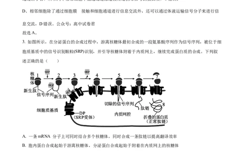 精品解析：重庆市八中2025-2026学年高三上学期入学考试生物试卷（解析版）_2025年9月_250902重庆市第八中学校2025-2026学年高三上学期入学考试（全科）