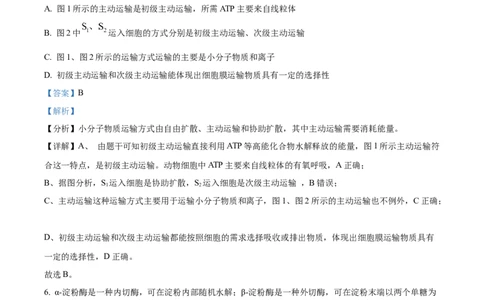 精品解析：重庆市八中2025-2026学年高三上学期入学考试生物试卷（解析版）_2025年9月_250902重庆市第八中学校2025-2026学年高三上学期入学考试（全科）