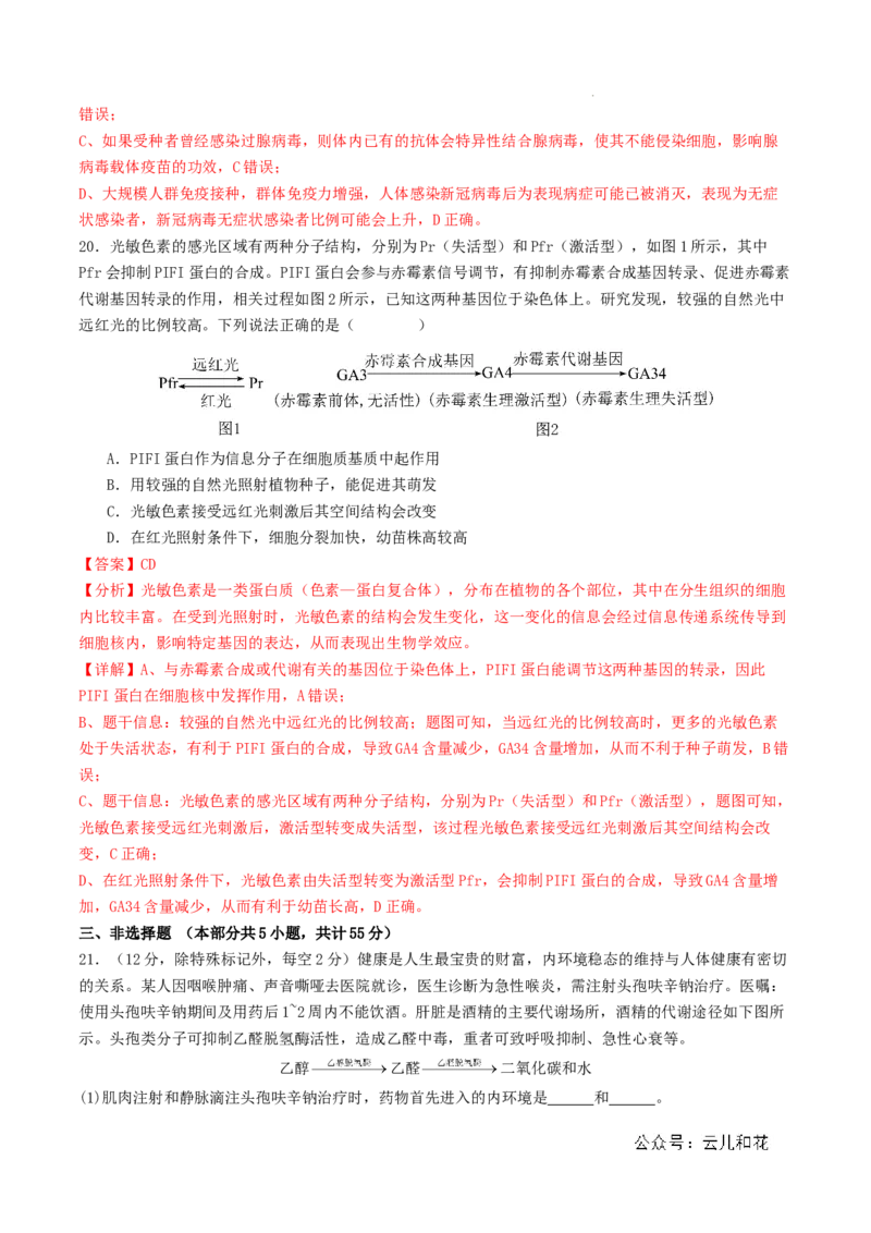 高二生物期中模拟卷03（全解全析）（新高考通用）(1)_1多考区联考_1014高二期中模拟卷（新高考通用）黄金卷：2024-2025学年高二上学期期中模拟考试