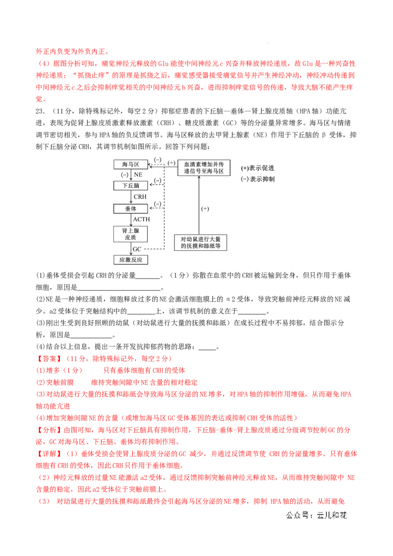 高二生物期中模拟卷03（全解全析）（新高考通用）(1)_1多考区联考_1014高二期中模拟卷（新高考通用）黄金卷：2024-2025学年高二上学期期中模拟考试