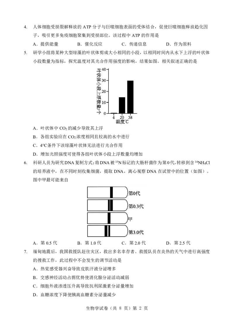 生物试题_2025年5月_250531湖北省黄石二中2025届高三下学期适应性考试（一）（全科）_黄石二中2025届高三下学期适应性考试（一）生物