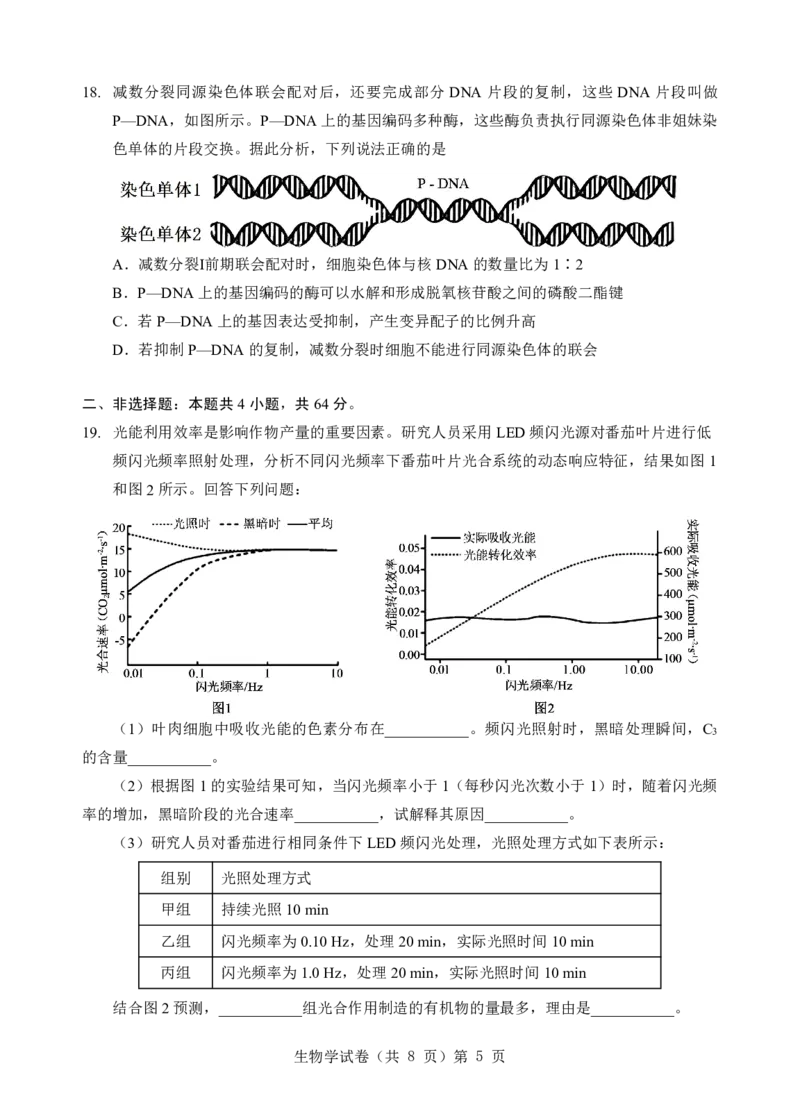 生物试题_2025年5月_250531湖北省黄石二中2025届高三下学期适应性考试（一）（全科）_黄石二中2025届高三下学期适应性考试（一）生物