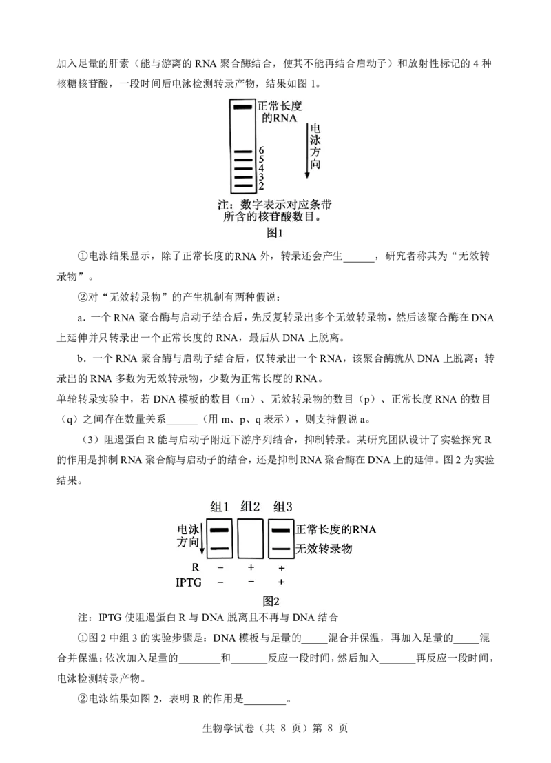 生物试题_2025年5月_250531湖北省黄石二中2025届高三下学期适应性考试（一）（全科）_黄石二中2025届高三下学期适应性考试（一）生物