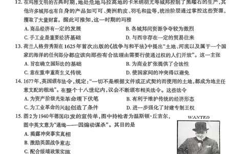 安徽省芜湖市2025届高三上学期1月期末考试历史_2025年1月_250125安徽省芜湖市2025届高三上学期1月期末考试（全科）_安徽省芜湖市2025届高三上学期1月期末考试历史
