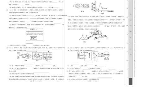 高二生物上学期第一次月考测试范围：选择性必修1第1章~第2章（考试版A3）（黑吉辽蒙专用）_1多考区联考试卷_2510142025-2026学年高二生物上学期第一次月考试题