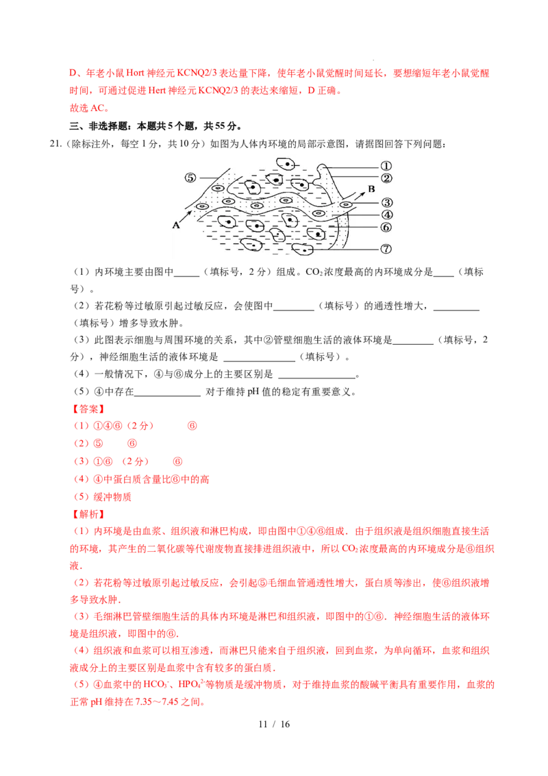 高二生物上学期第一次月考02（全解全析）（人教版2019）_1多考区联考试卷_2510142025-2026学年高二生物上学期第一次月考试题