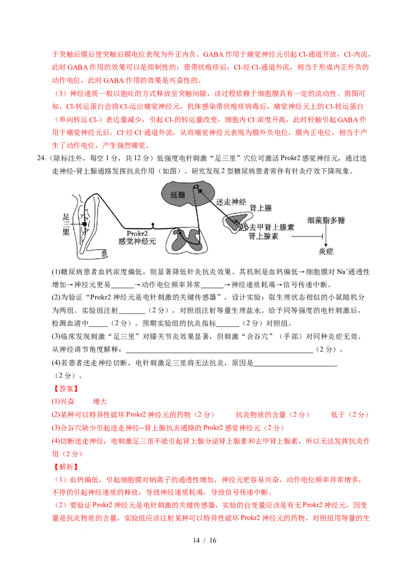 高二生物上学期第一次月考02（全解全析）（人教版2019）_1多考区联考试卷_2510142025-2026学年高二生物上学期第一次月考试题
