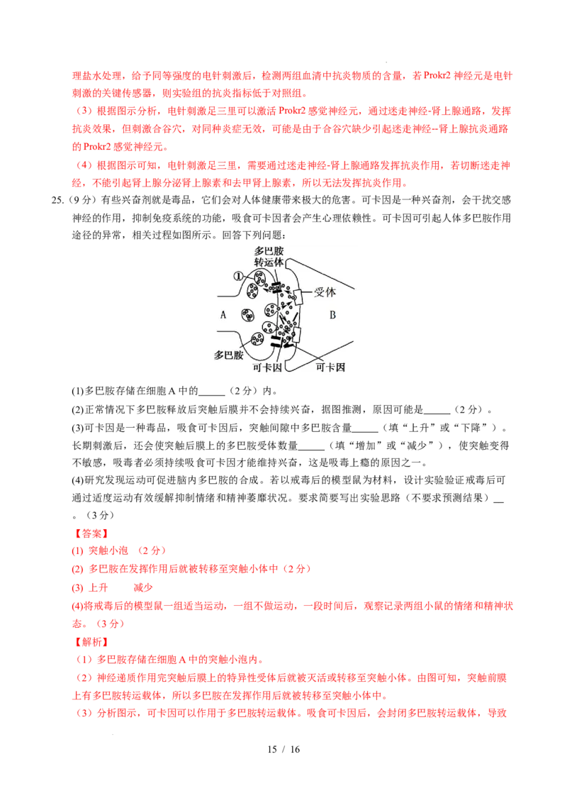 高二生物上学期第一次月考02（全解全析）（人教版2019）_1多考区联考试卷_2510142025-2026学年高二生物上学期第一次月考试题