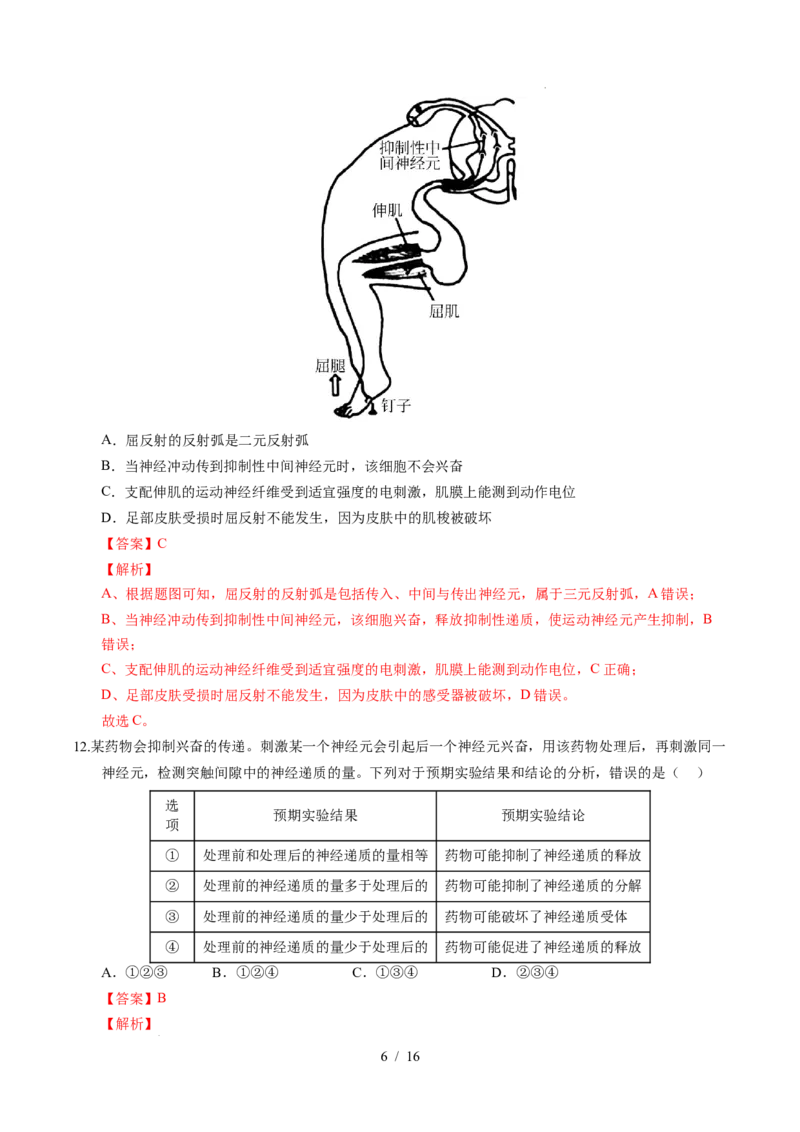 高二生物上学期第一次月考02（全解全析）（人教版2019）_1多考区联考试卷_2510142025-2026学年高二生物上学期第一次月考试题