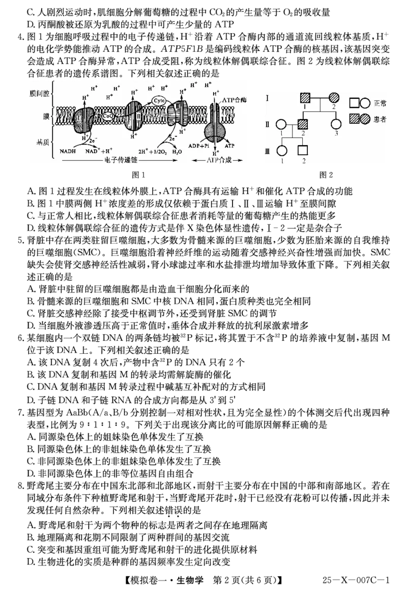 河南省新高中创新联盟2025届高三模拟卷一（25-X-007C-1）生物_2025年2月_250209河南省新高中创新联盟2025届高三模拟卷一（25-X-007C-1）（全科）