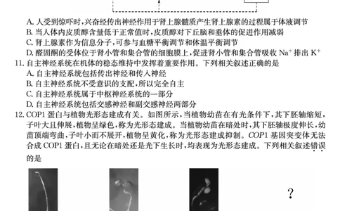 河南省新高中创新联盟2025届高三模拟卷一（25-X-007C-1）生物_2025年2月_250209河南省新高中创新联盟2025届高三模拟卷一（25-X-007C-1）（全科）