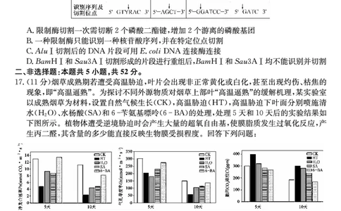 河南省新高中创新联盟2025届高三模拟卷一（25-X-007C-1）生物_2025年2月_250209河南省新高中创新联盟2025届高三模拟卷一（25-X-007C-1）（全科）